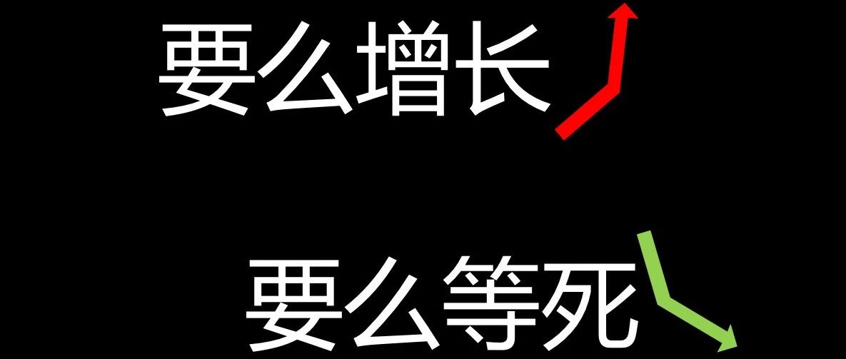 Read more about the article 要么增长，要么等死