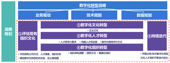 原色咨询数字化转型