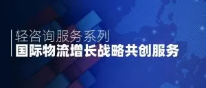 Read more about the article 【轻咨询系列】国际物流增长战略共创服务