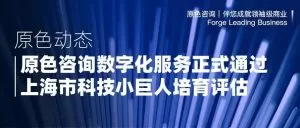 Read more about the article 「原色咨询数字化服务」正式通过上海市科技小巨人培育评估