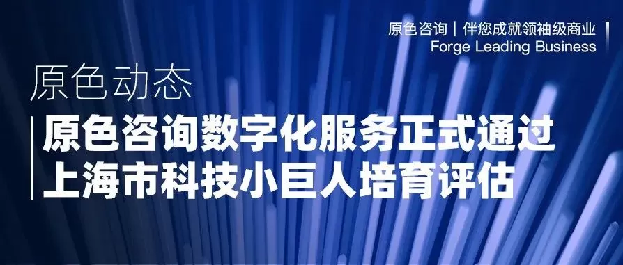 Read more about the article 「原色咨询数字化服务」正式通过上海市科技小巨人培育评估