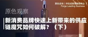 Read more about the article 新消费品牌快速上新带来的供应链魔咒如何破解？（下）